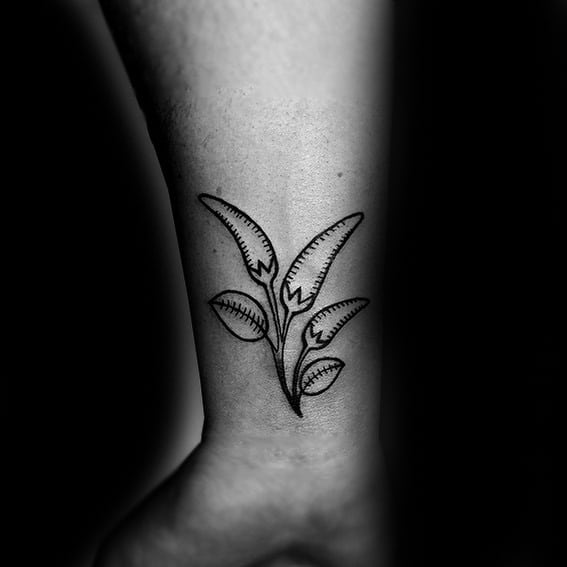 Minimalist black line chili pepper plant tattoo on the wrist, featuring delicate stems and leaves for a simple yet elegant design.