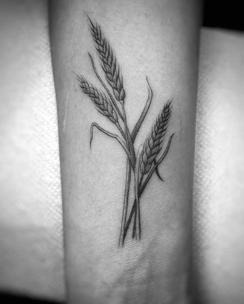 Minimalist black and gray tattoo of three wheat stalks with fine linework on the forearm.