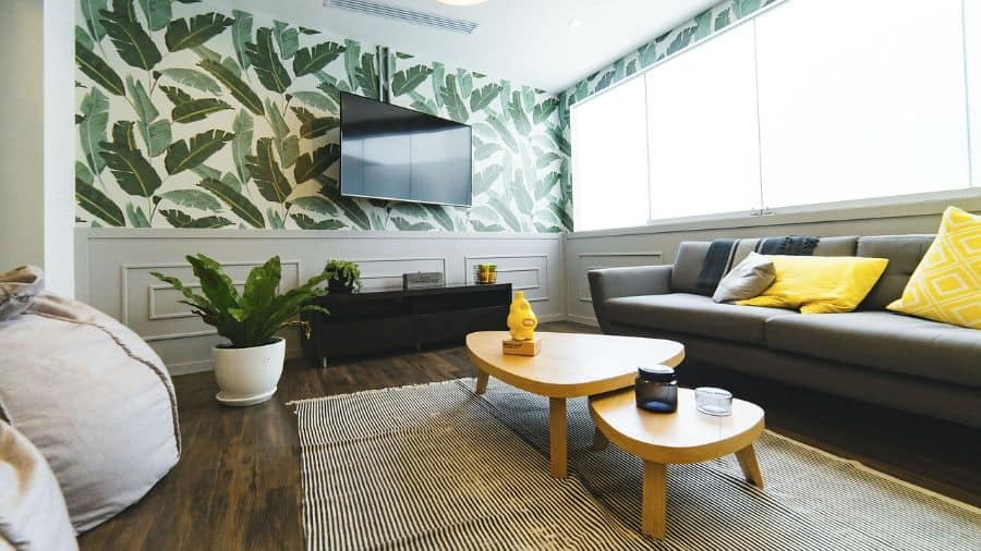green leaf accent wall with gray sofa