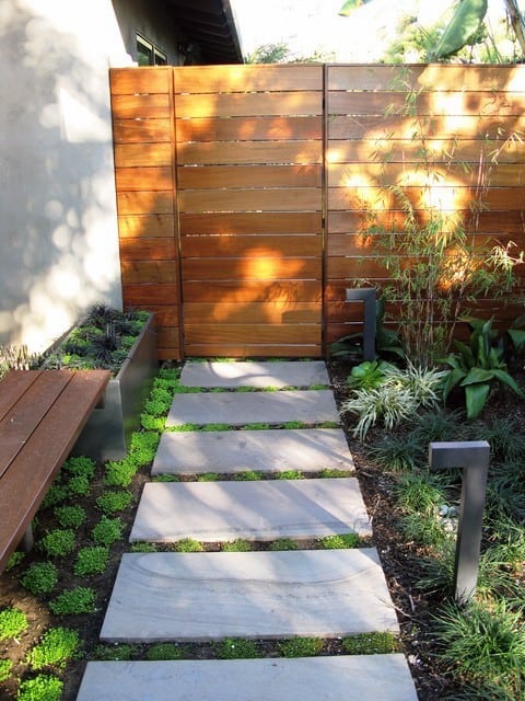 Concrete stepping stones leading to a wooden fence, surrounded by lush greenery and bamboo.