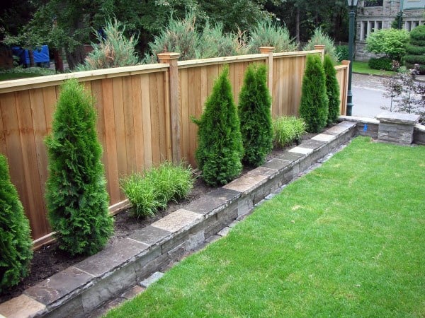 Wooden privacy fence with stone retaining wall and neatly arranged shrubs in a landscaped backyard.