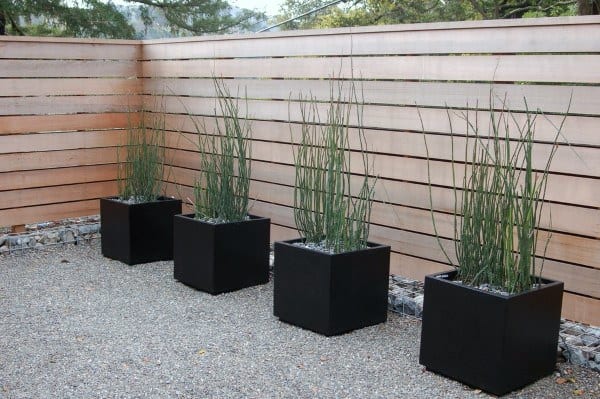 Horizontal wooden fence enclosing a gravel backyard with tall plants in black square planters.