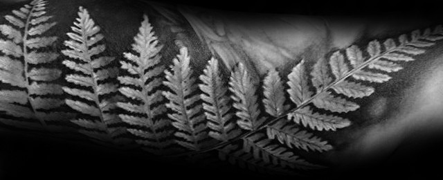Fern Tattoo Designs For Men
