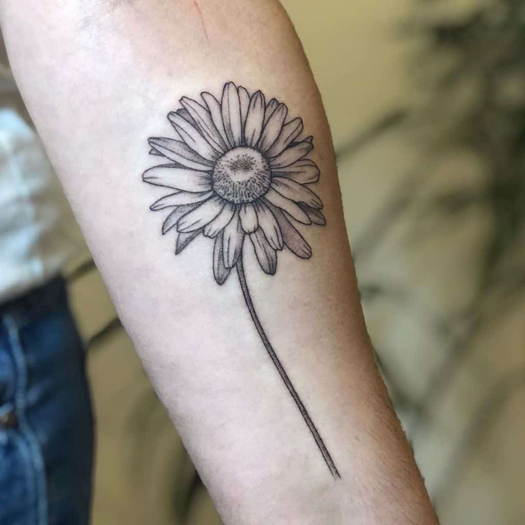 Forearm tattoo black and grey fine line daisy