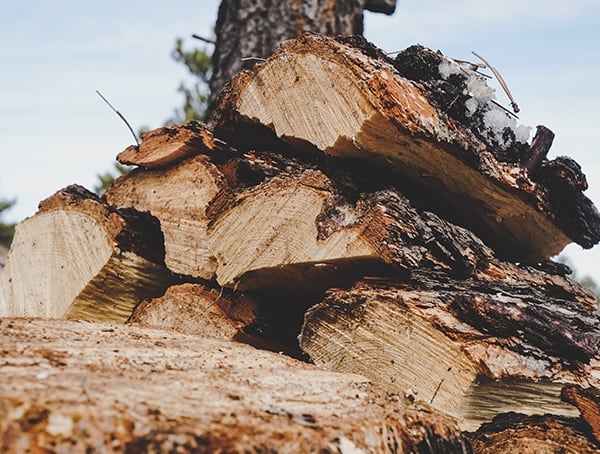 Firewood Pile Estwing Special Edition Fireside Firend Splitting Tool Review