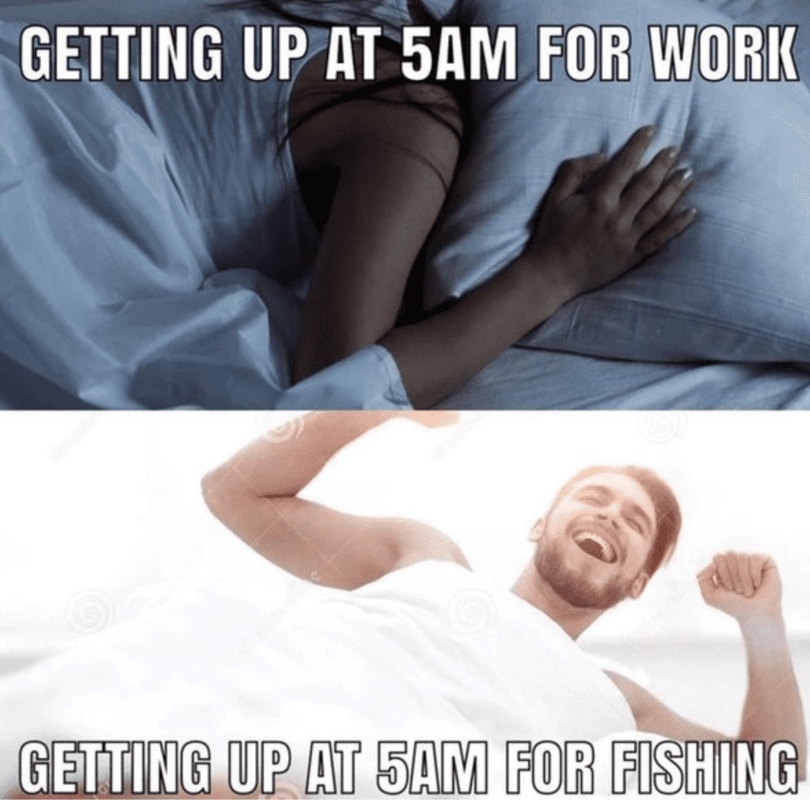 fishing-memes-16