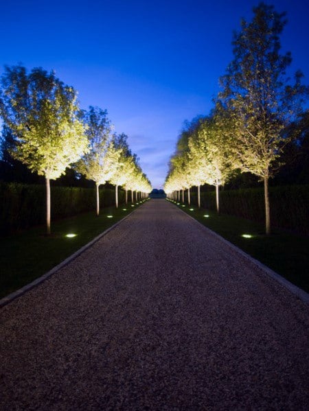 Gravel driveway lined with trees, illuminated by angled floodlights, creating a dramatic effect along the path at twilight