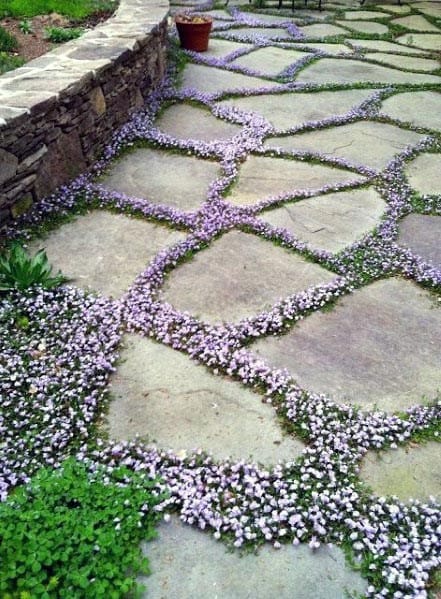 Flower Filler Flagstone Patio Idea Inspiration