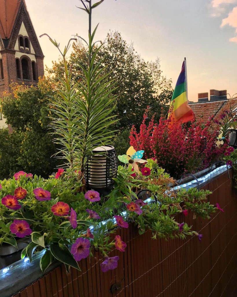 Flower-filled balcony at sunset with rainbow flag and decorative lights.