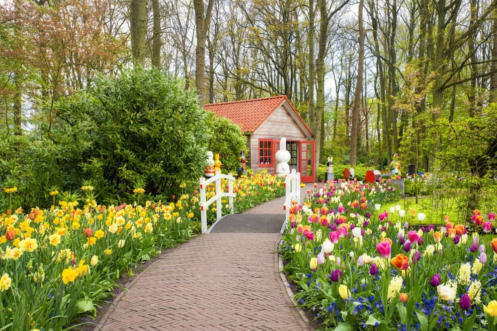 paved path through colorful flower garden