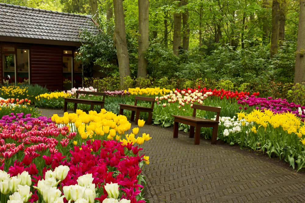 colorful flower garden paved path wood benches