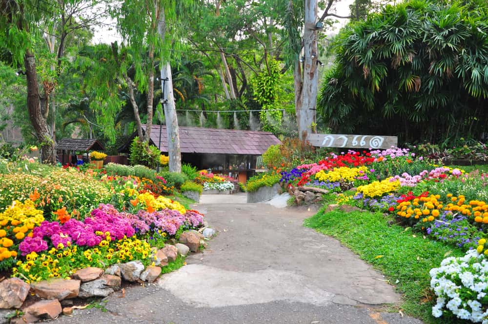 colorful flower garden path