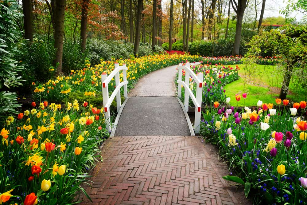 paved path bridge flower garden