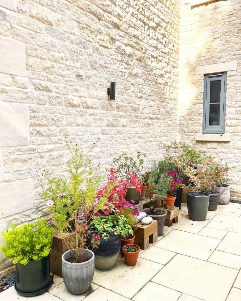 Potted plants arranged along a stone wall with a small window, on a patio with light-colored tiles