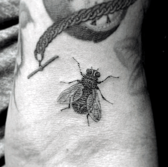 Tiny realistic fly tattoo on the hand with soft black shading and delicate wing details, resembling an actual insect resting on skin.