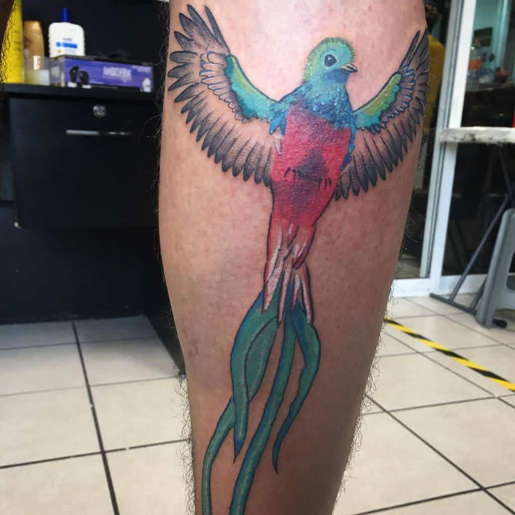 Tattoo of a colorful quetzal with long tail feathers and outstretched wings on a leg