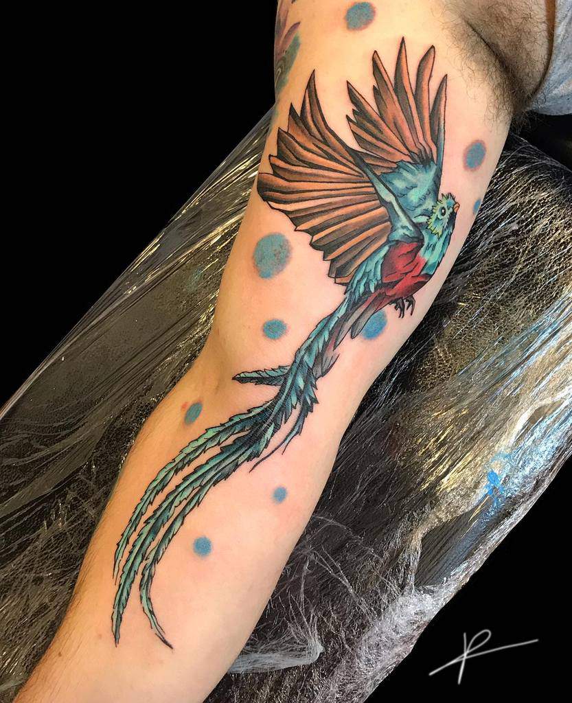 Tattoo of a colorful quetzal with long tail feathers on an arm