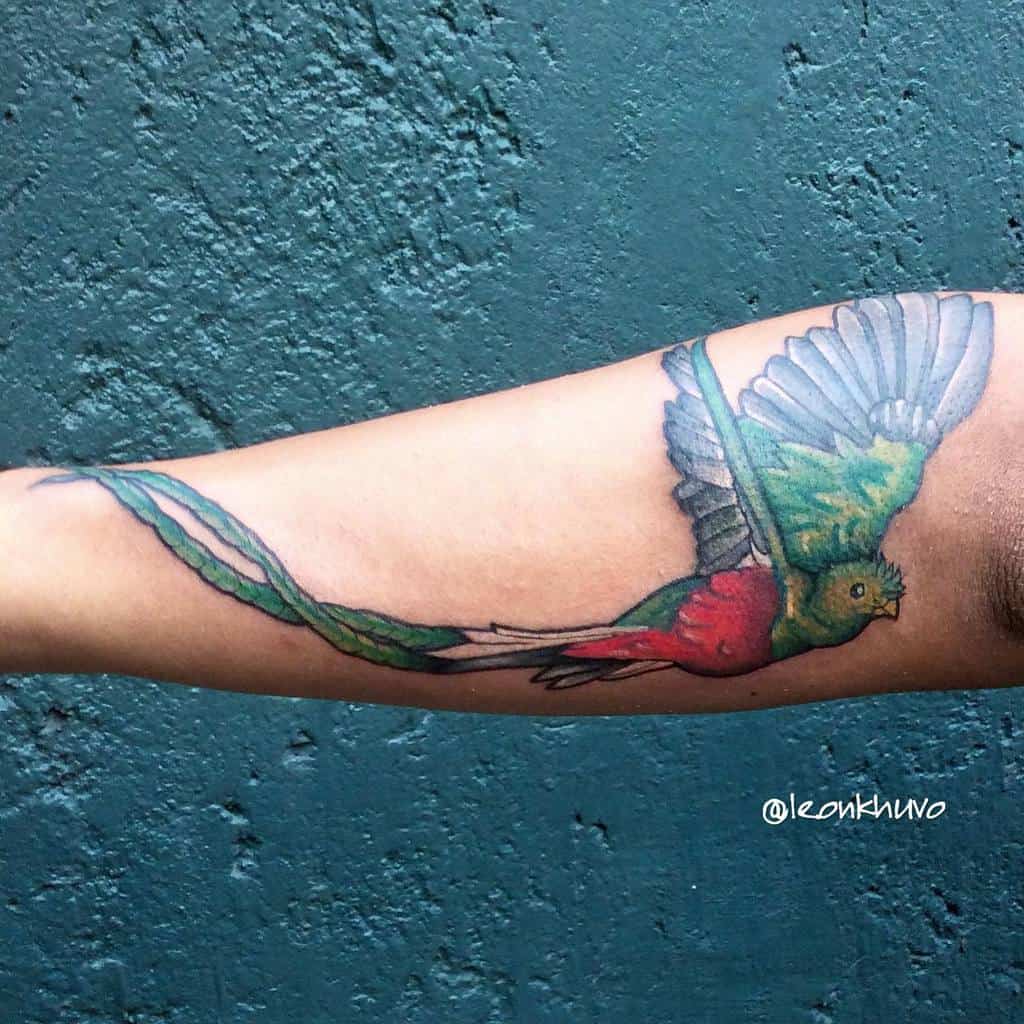 Realistic quetzal tattoo on the forearm, featuring a vibrant green and red bird in mid-flight with long flowing tail feathers
