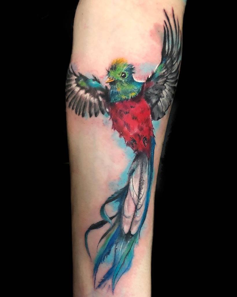 Quetzal bird tattoo with outstretched wings on an arm, featuring red, green, and blue hues with a watercolor effect
