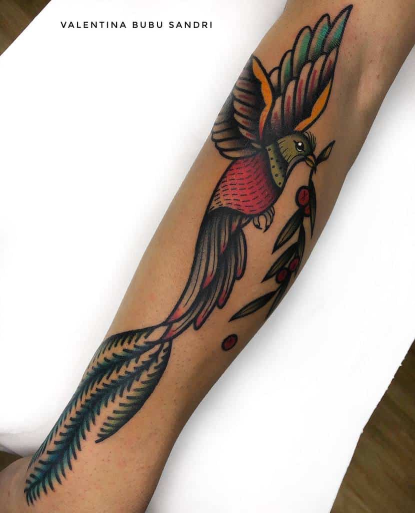 Neo-traditional quetzal tattoo on the forearm, featuring a bold, stylized bird in flight with vibrant red, green, and orange hues, long flowing tail feathers, and a branch with berries