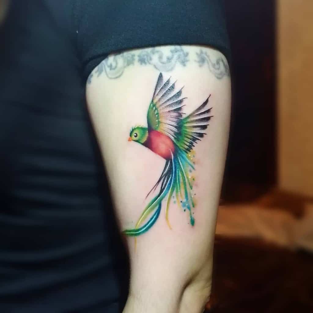 Arm tattoo of a vibrant quetzal in flight with long tail feathers
