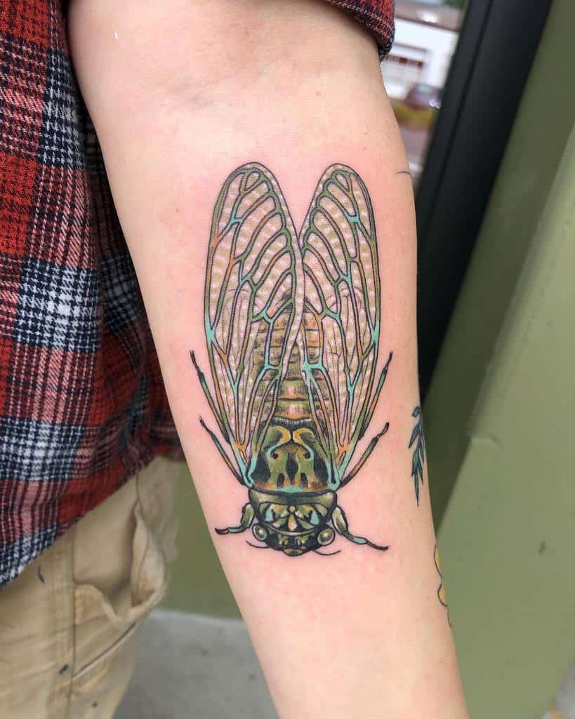 Colorful cicada tattoo on person's forearm