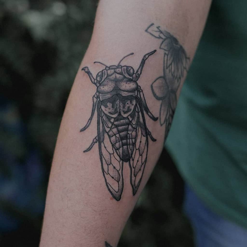 Tattoo of a cicada on a forearm with floral designs