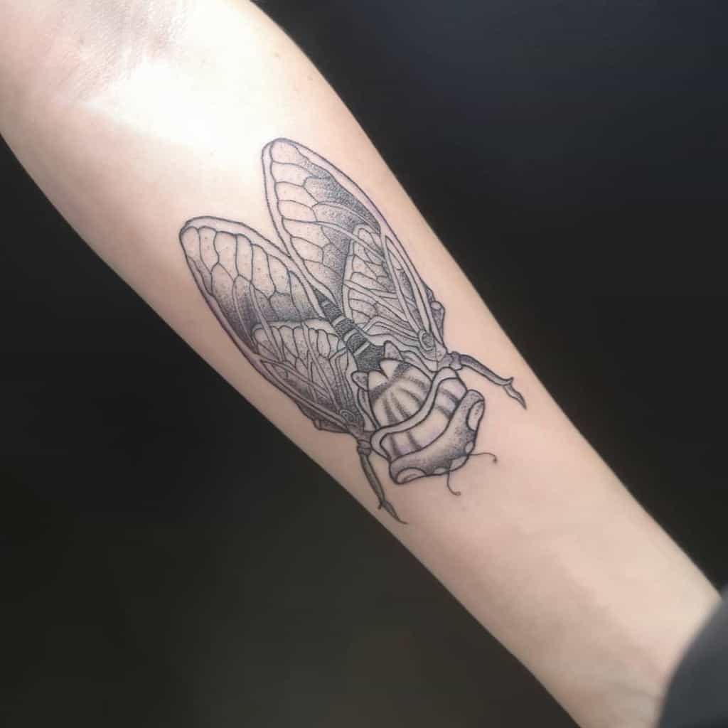 Black ink cicada tattoo on a forearm