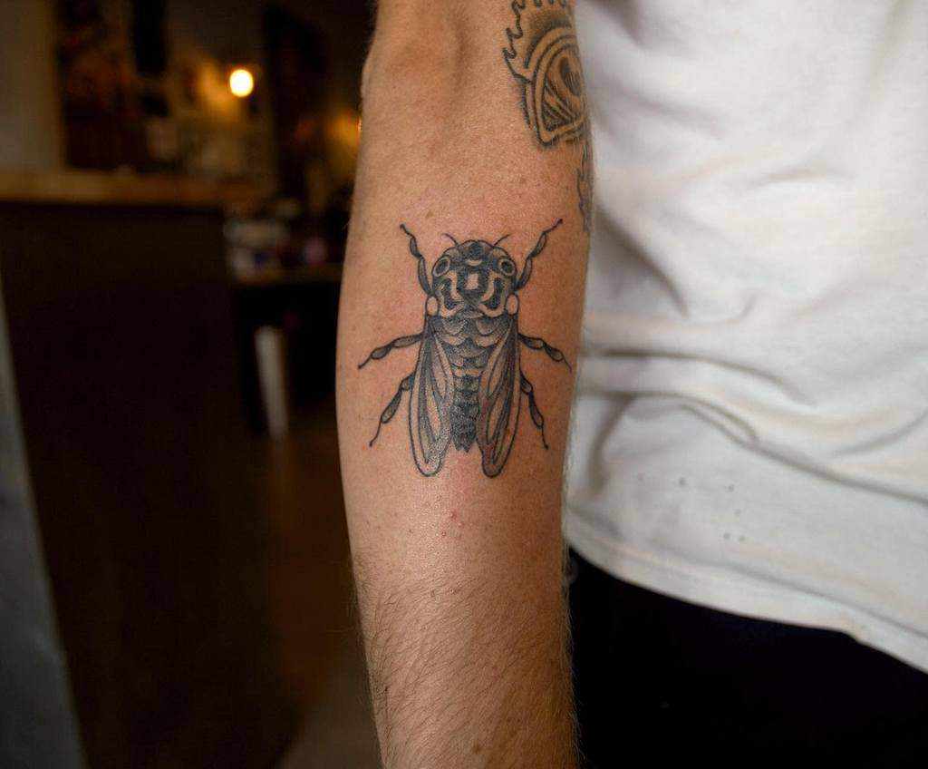 Tattoo of a detailed cicada on a forearm