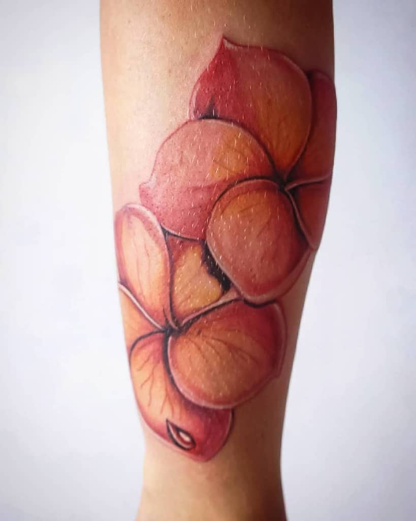 Bold forearm tattoo showcasing vibrant orange and red plumeria flowers with detailed shading and soft gradients