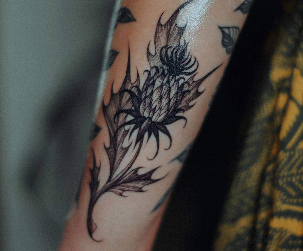 Arm tattoo of a stylized thistle with sharp leaves and intricate shading, capturing the essence of this resilient plant