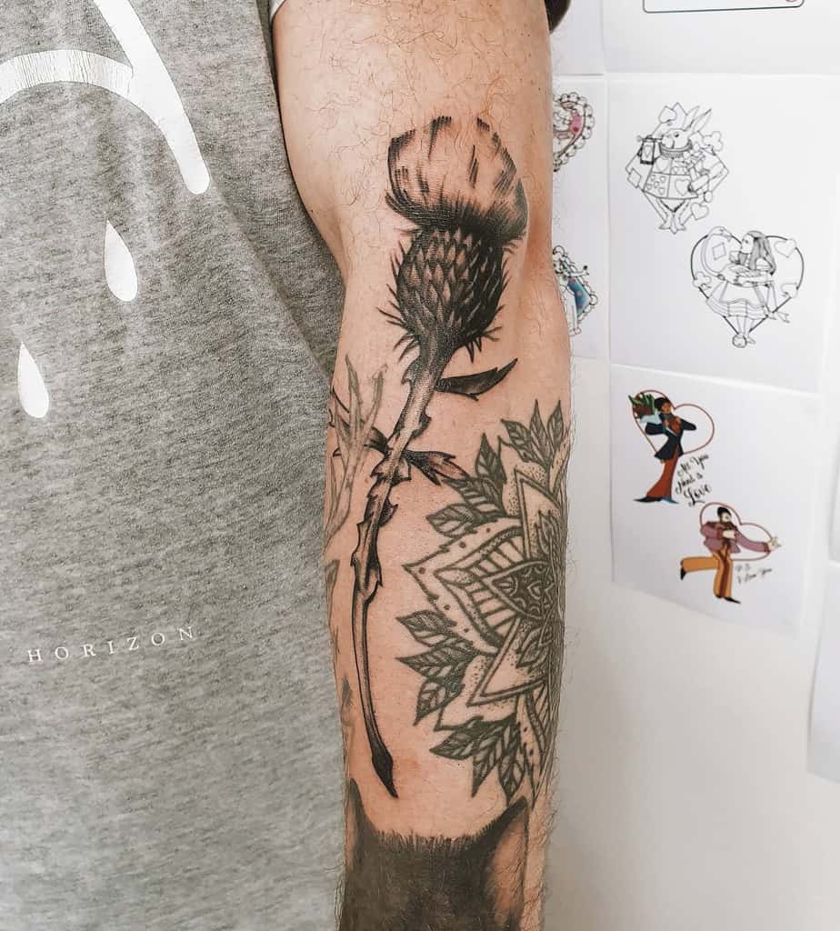 A forearm tattoo featuring a striking thistle intertwined with a geometric mandala design