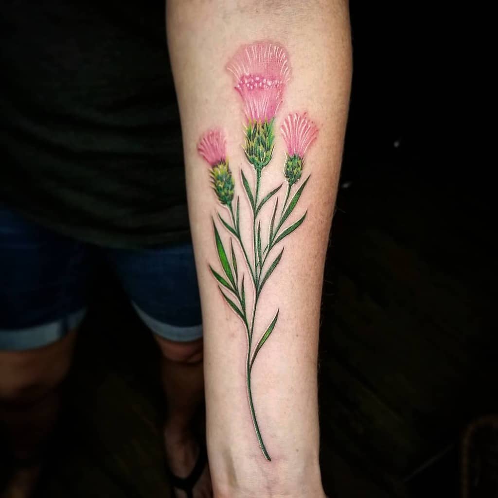 Tattoo of vibrant pink thistle flowers and lush green leaves on the forearm