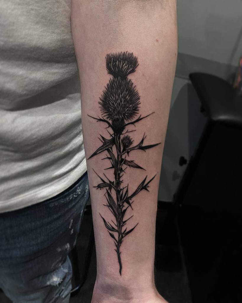 Forearm tattoo showcasing a meticulously detailed, dark thistle design
