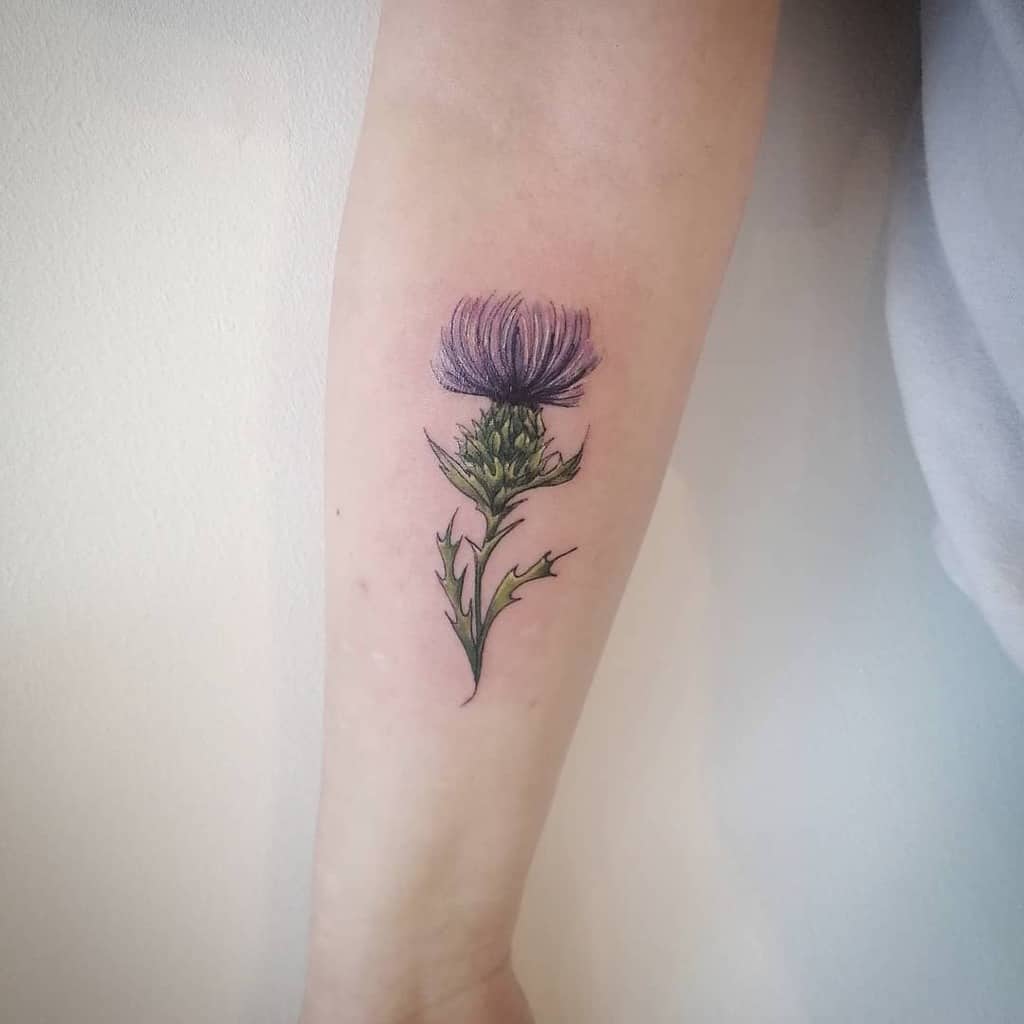 A vibrant tattoo of a purple thistle graces the person's forearm, capturing its intricate details and rich hues