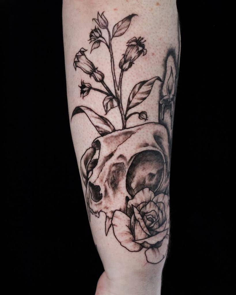 Forearm tattoo of a cat skull with flowers growing from it and a rose at the bottom