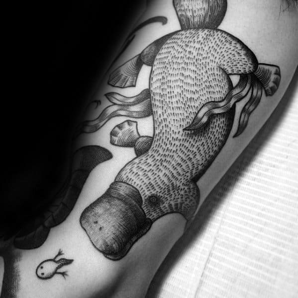 Forearm Cool Male Platypus Tattoo Designs