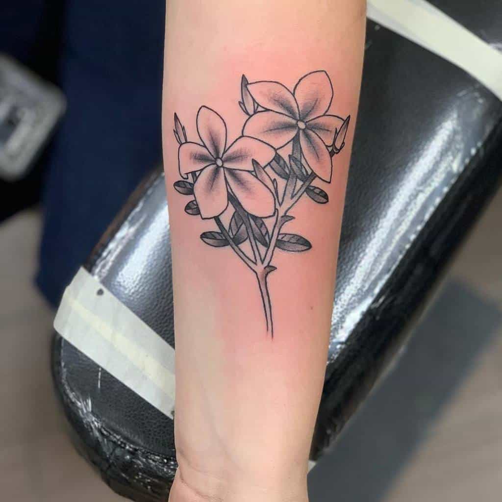 Forearm tattoo of two shaded jasmine flowers with leaves and stems