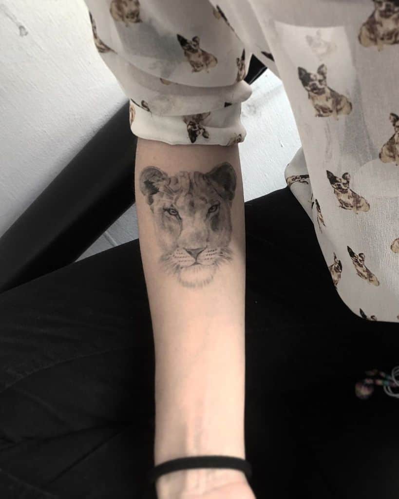 Subtle black and grey lioness tattoo on the forearm, featuring soft shading and fine details for a realistic and minimalist design.