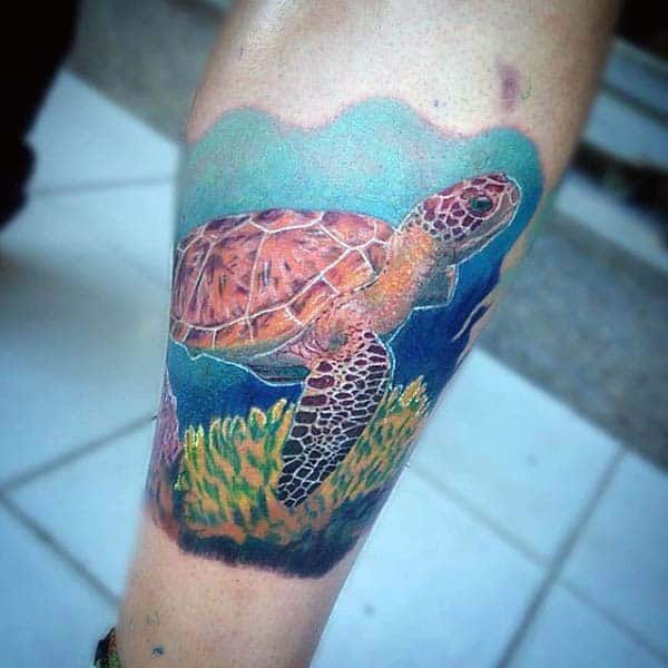 Forearm Male Turtle Underwater Tattoo Design Ideas