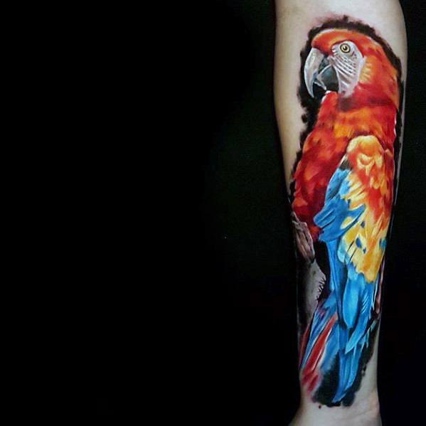 Forearm Mens Parrot Tattoo Ideas