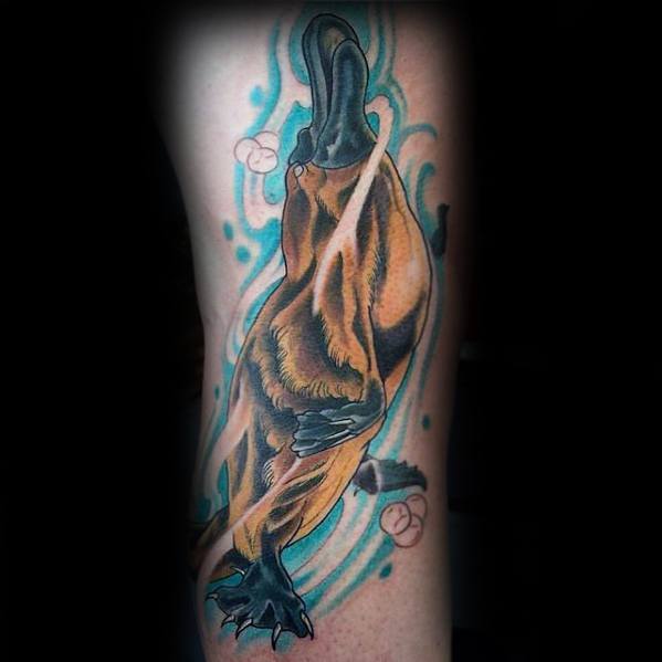 Forearm Platypus Mens Tattoo Designs