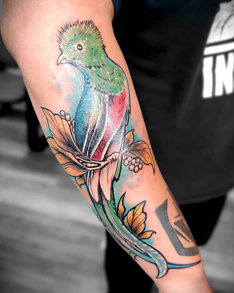 Colorful tattoo of a quetzal with vibrant plumage and leaves gracing a forearm