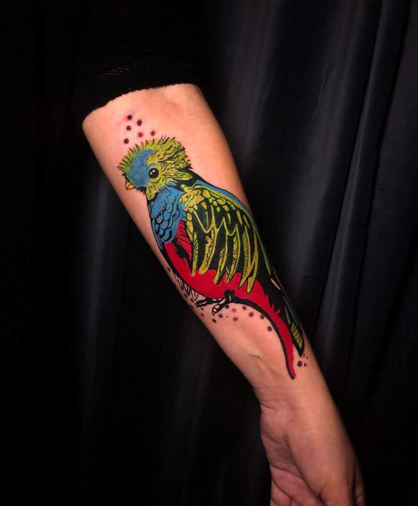 Bold neo-traditional quetzal tattoo on the forearm, featuring vibrant blue, green, red, and yellow hues with stylized feather details and dotted accents