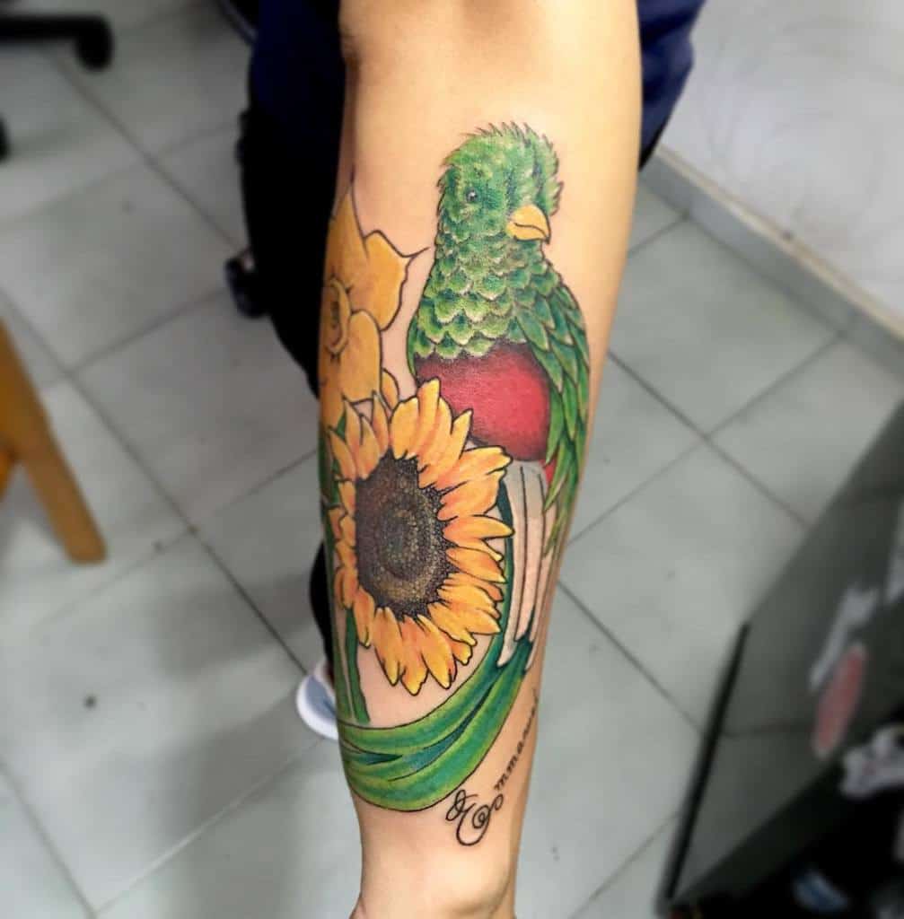 A colorful tattoo of a quetzal with green feathers perched on a yellow sunflower, gracing a forearm