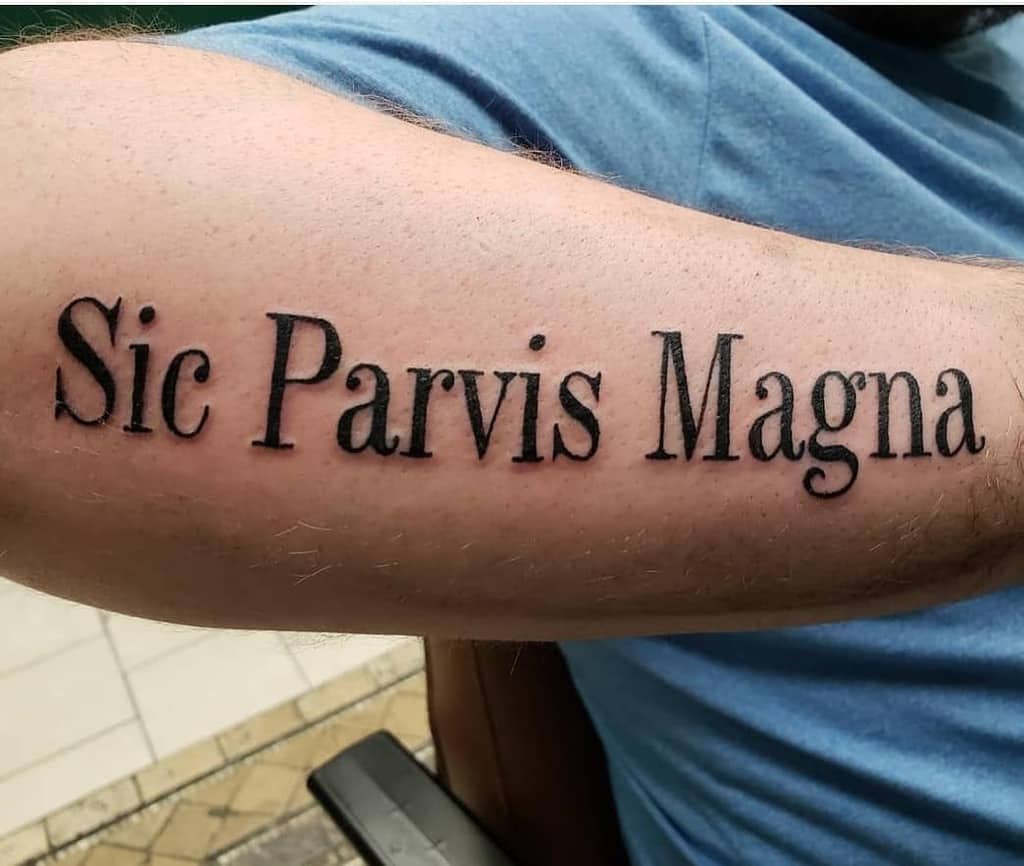 Tattoo on forearm reading "Sic Parvis Magna" in black ink