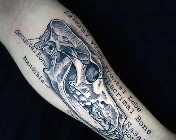 Forearm Skeleton Animal Skull Tattoo Designs For Men
