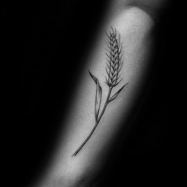 Forearm Virgo Wheat Tattoos For Gentlemen