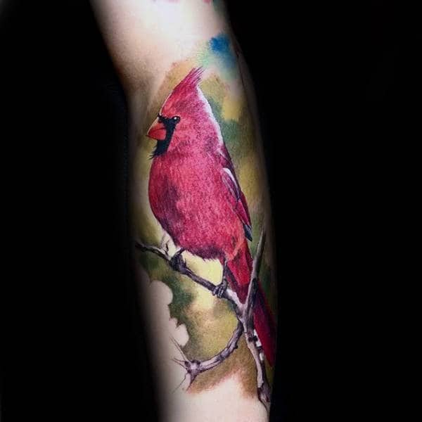Forearm Watercolor Realistic Male Cardinal Bird Tattoos