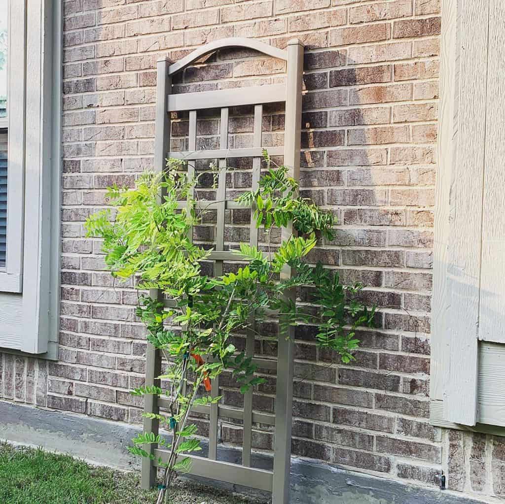 freestanding wood lattice garden trellis brick wall